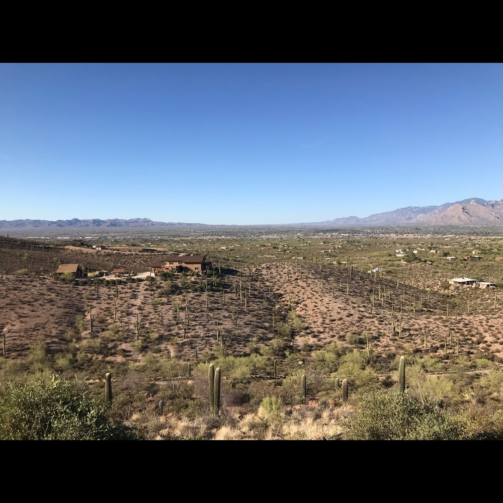 Meet your Posher, Tylernphil